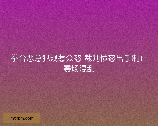 拳台恶意犯规惹众怒 裁判愤怒出手制止赛场混乱