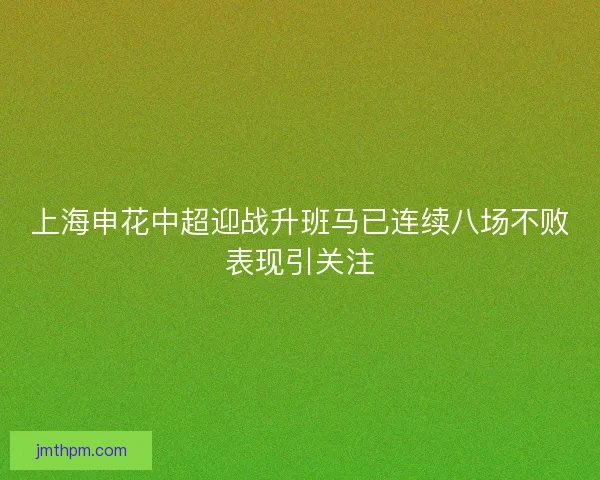 上海申花中超迎战升班马已连续八场不败表现引关注