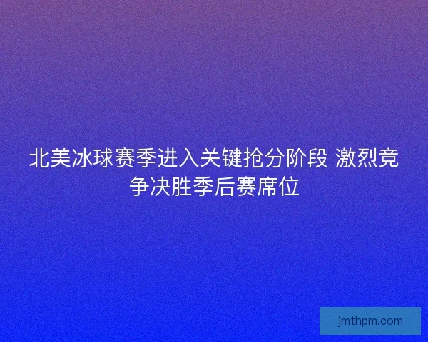 北美冰球赛季进入关键抢分阶段 激烈竞争决胜季后赛席位